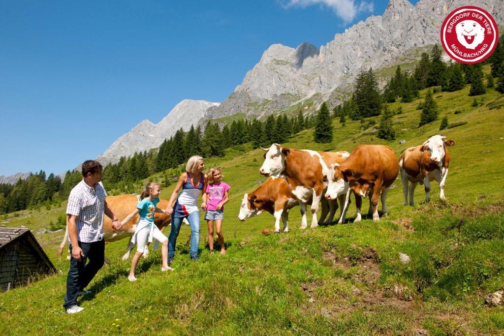 Apartments Haus Huber Mühlbach am Hochkönig Εξωτερικό φωτογραφία