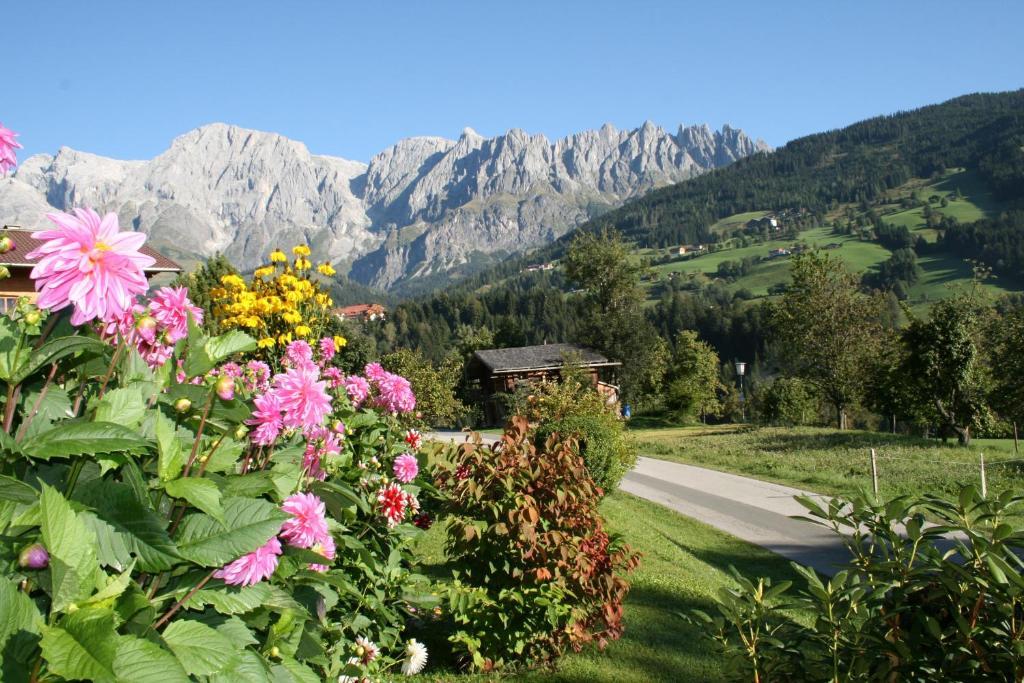 Apartments Haus Huber Mühlbach am Hochkönig Δωμάτιο φωτογραφία