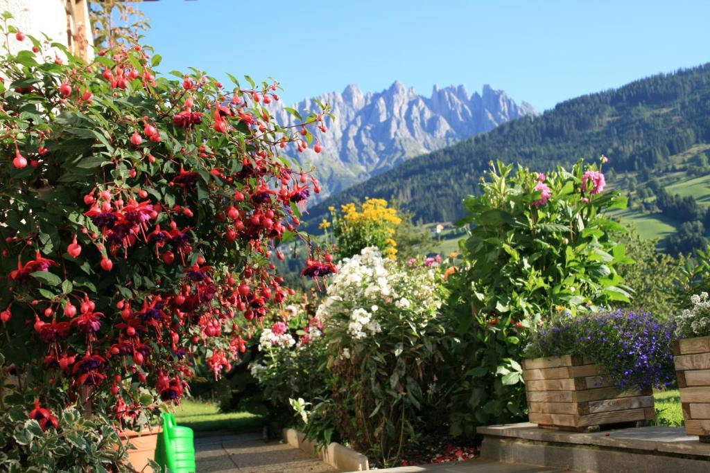 Apartments Haus Huber Mühlbach am Hochkönig Εξωτερικό φωτογραφία