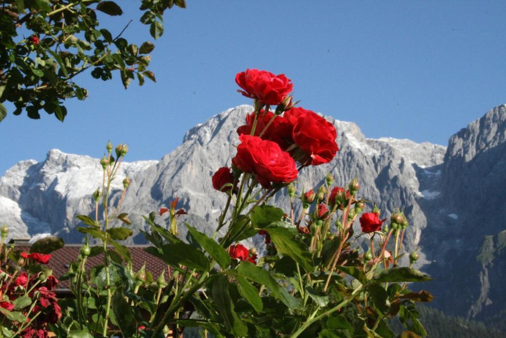 Apartments Haus Huber Mühlbach am Hochkönig Δωμάτιο φωτογραφία